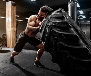 HƯỚNG DẪN CHO NGƯỜI MỚI BẮT ĐẦU VỀ BULKING VÀ CUTTING